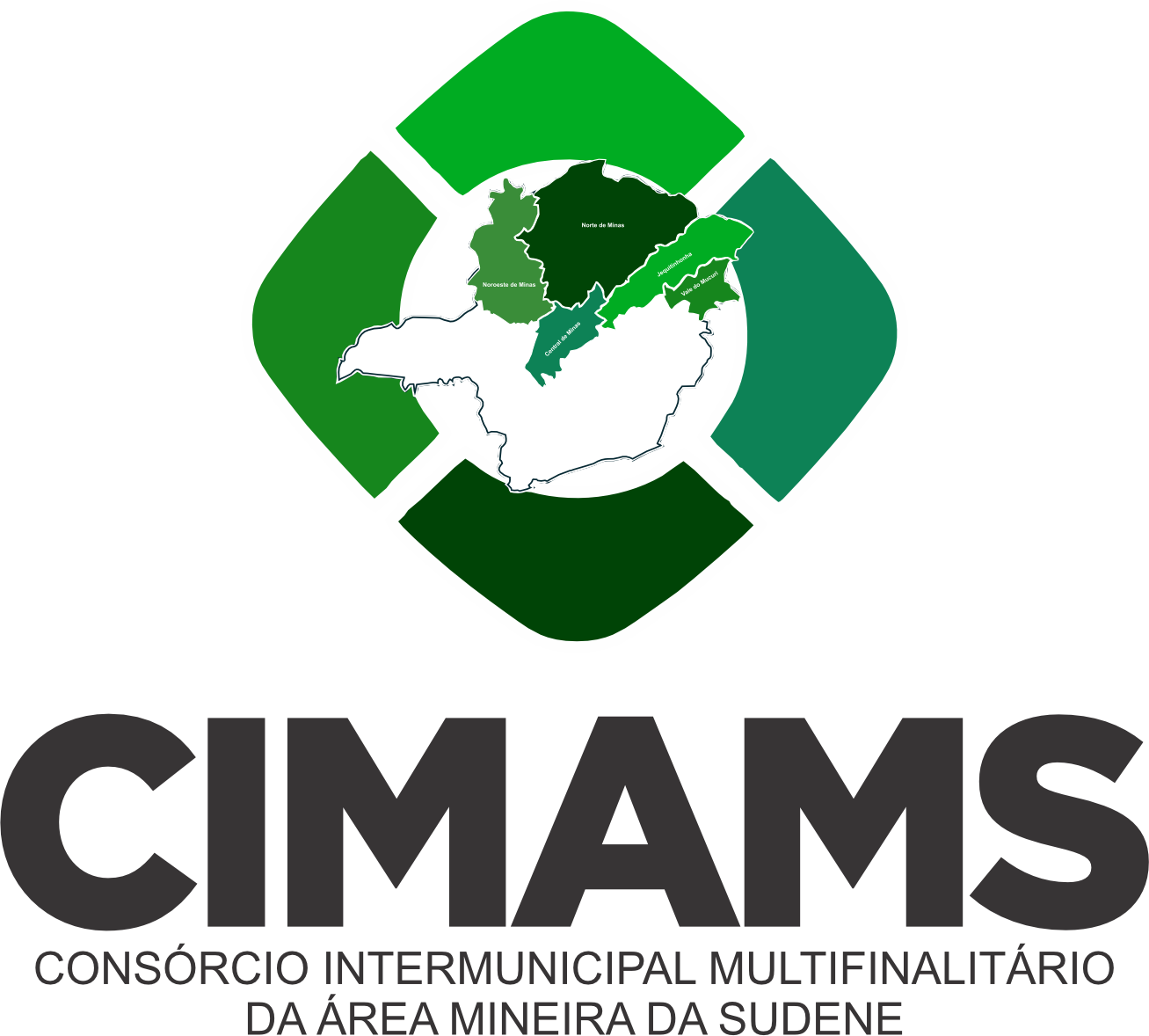 CIMAMS